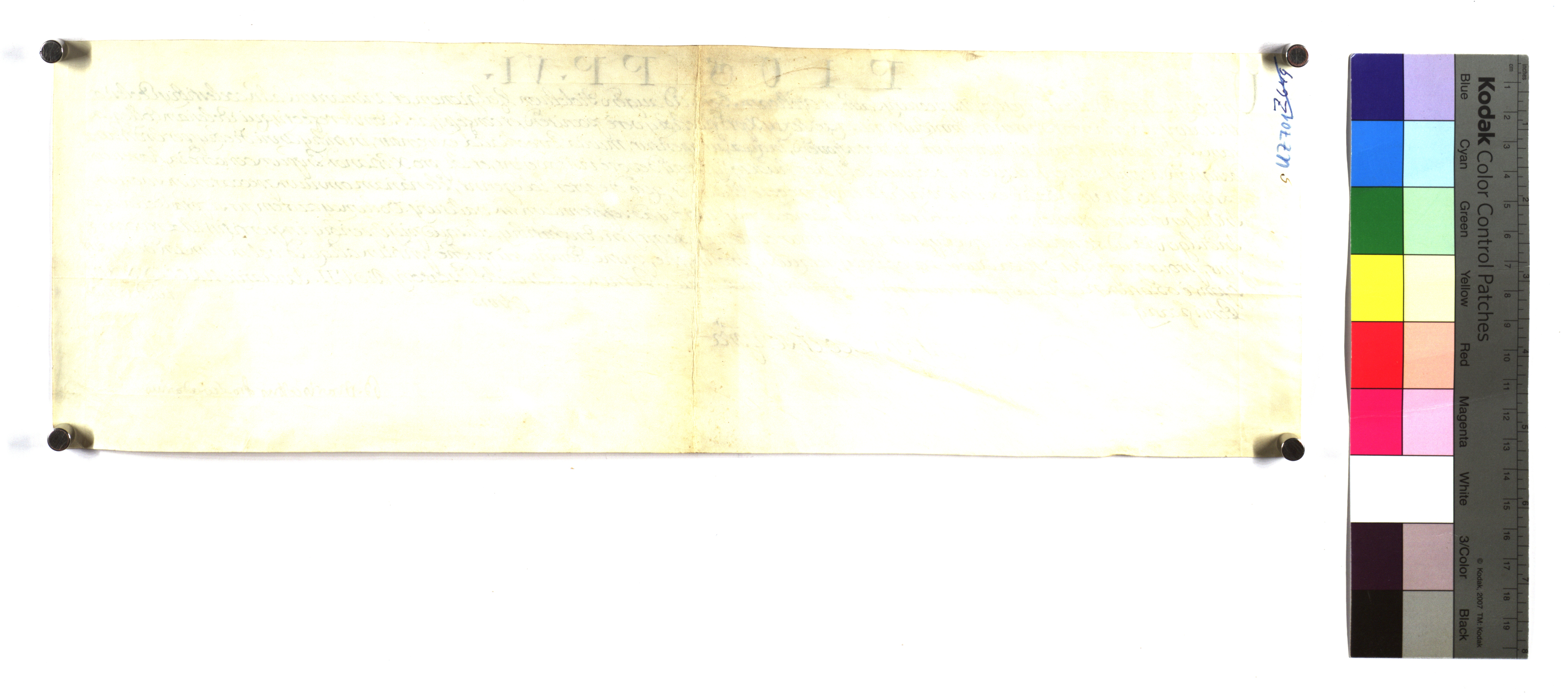EAF_Urkundensammlung-Zell_701_v.jpg
